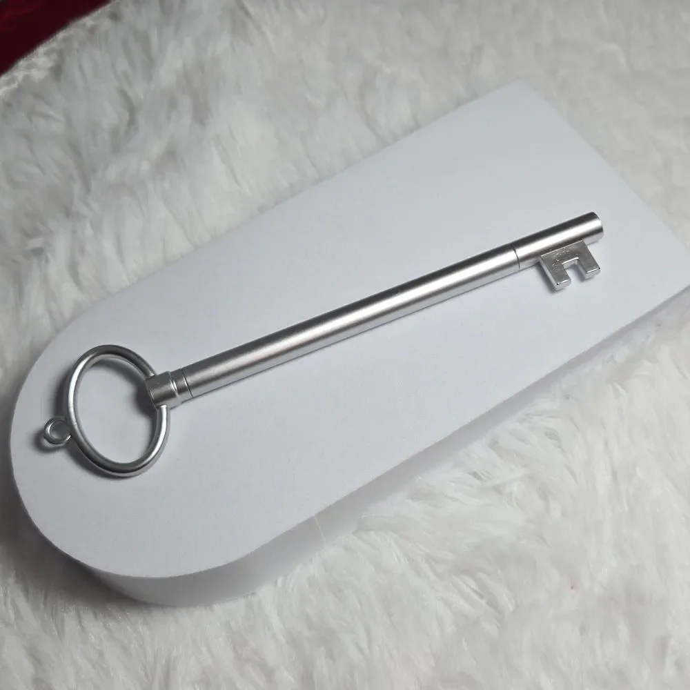 Skeleton Key Ballpoint Pen – Silver Decorative Writing Pen Gothic Desk Accessory